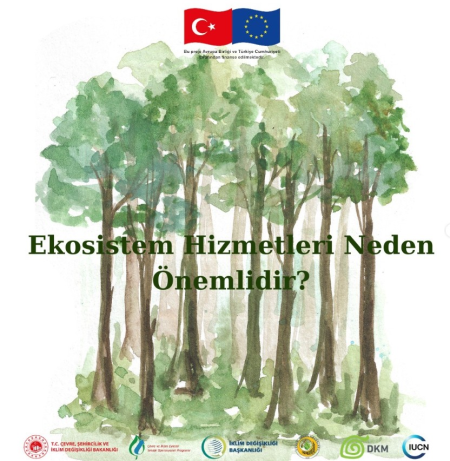 “Toplumsal Uyuma Yönelik Orman Ekosistem Hizmetleri” projemizin katılımcı haritalama çalıştayı başladı!